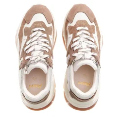 Ash Addict06 Fandango/Talc Low-Top-Sneaker